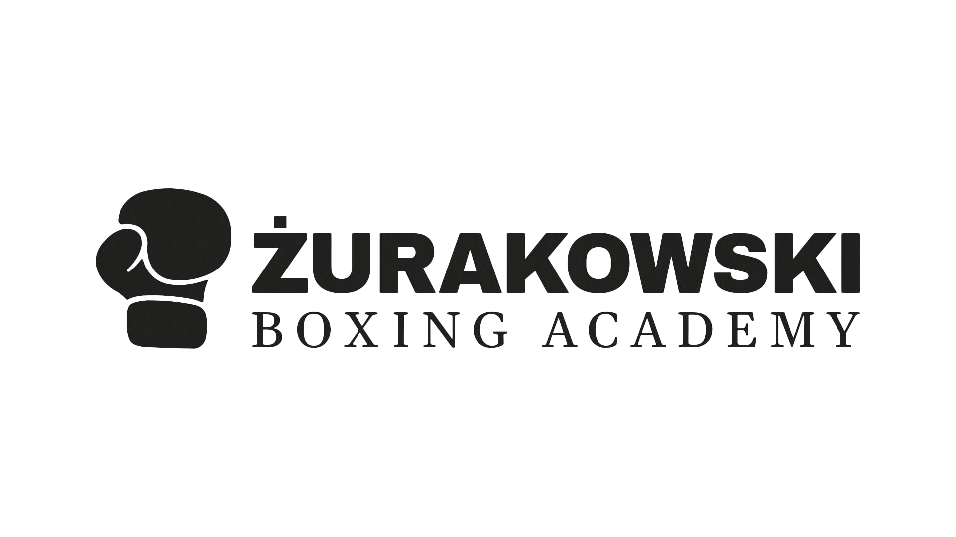 Boxing Academy Logo